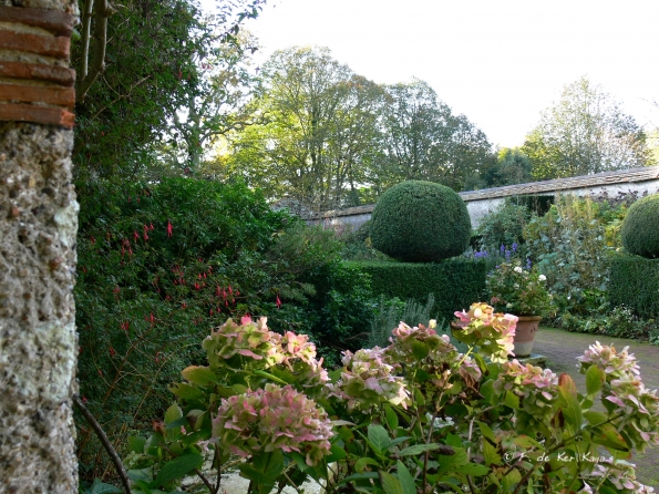 Bois des moutiers fall 2012 (81)